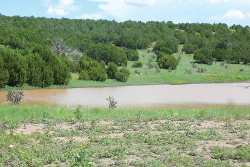 Property photo 43 - 7,320 Acres Offered in 5 Tracts